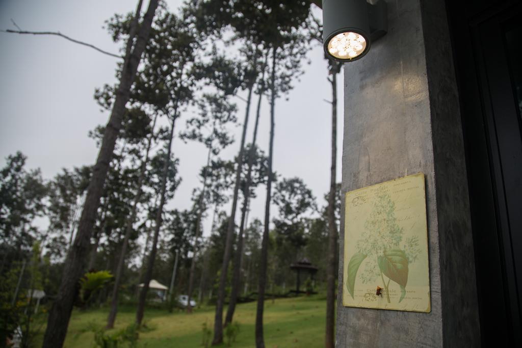 Hotel Phu Pha View Doi Samoeng Zewnętrze zdjęcie